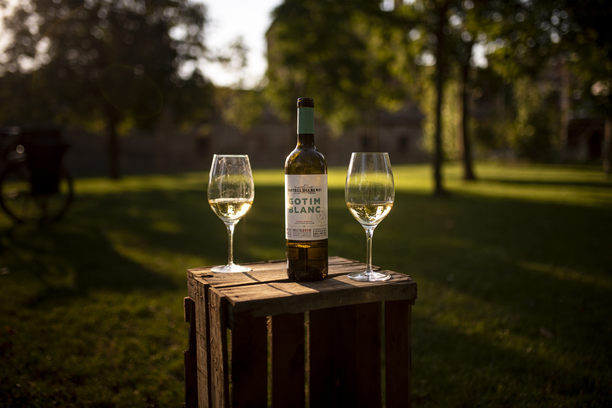 CDS_Castell-del-Remei_drinkinmoderation_31