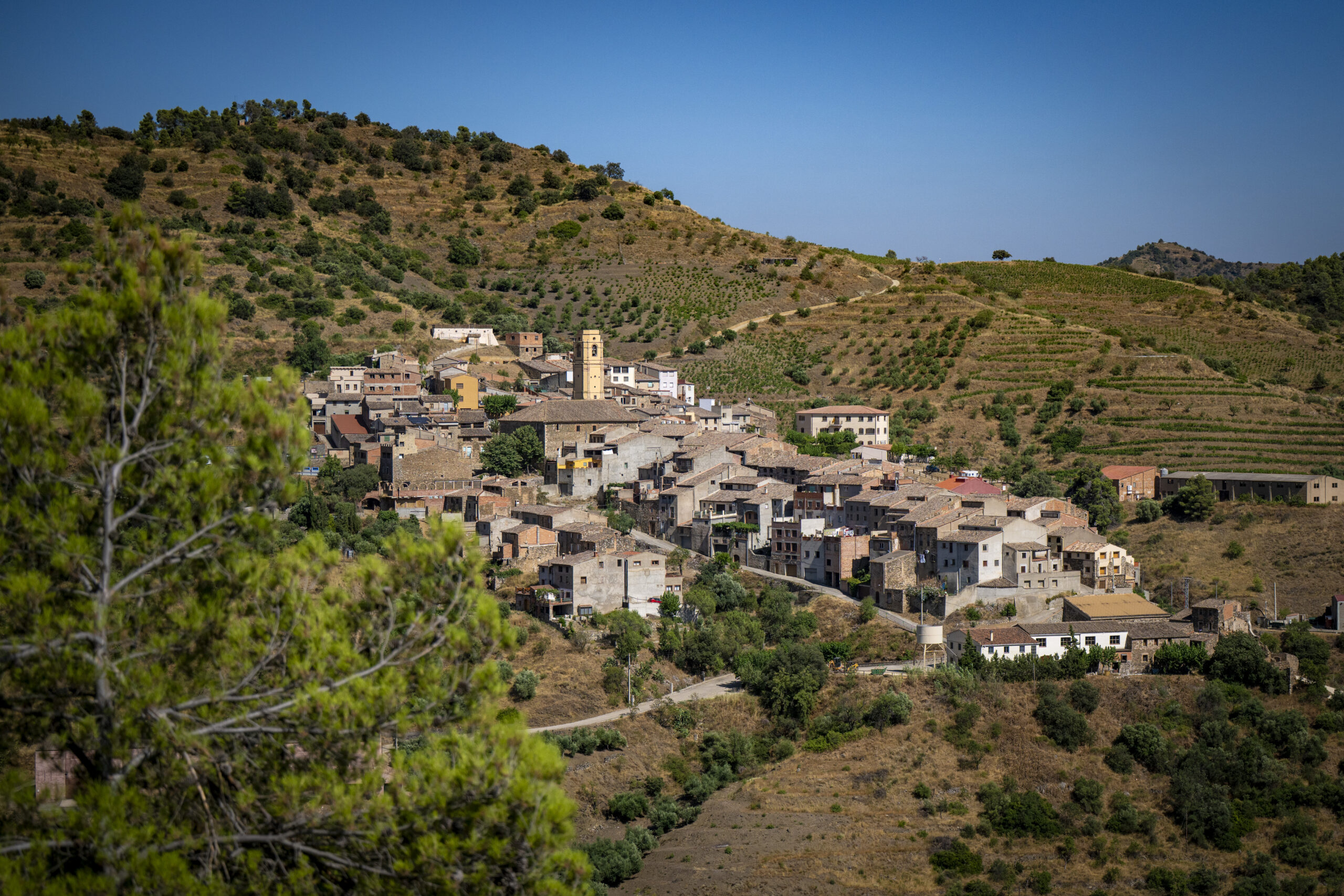 Global Image Projects S.L.U.