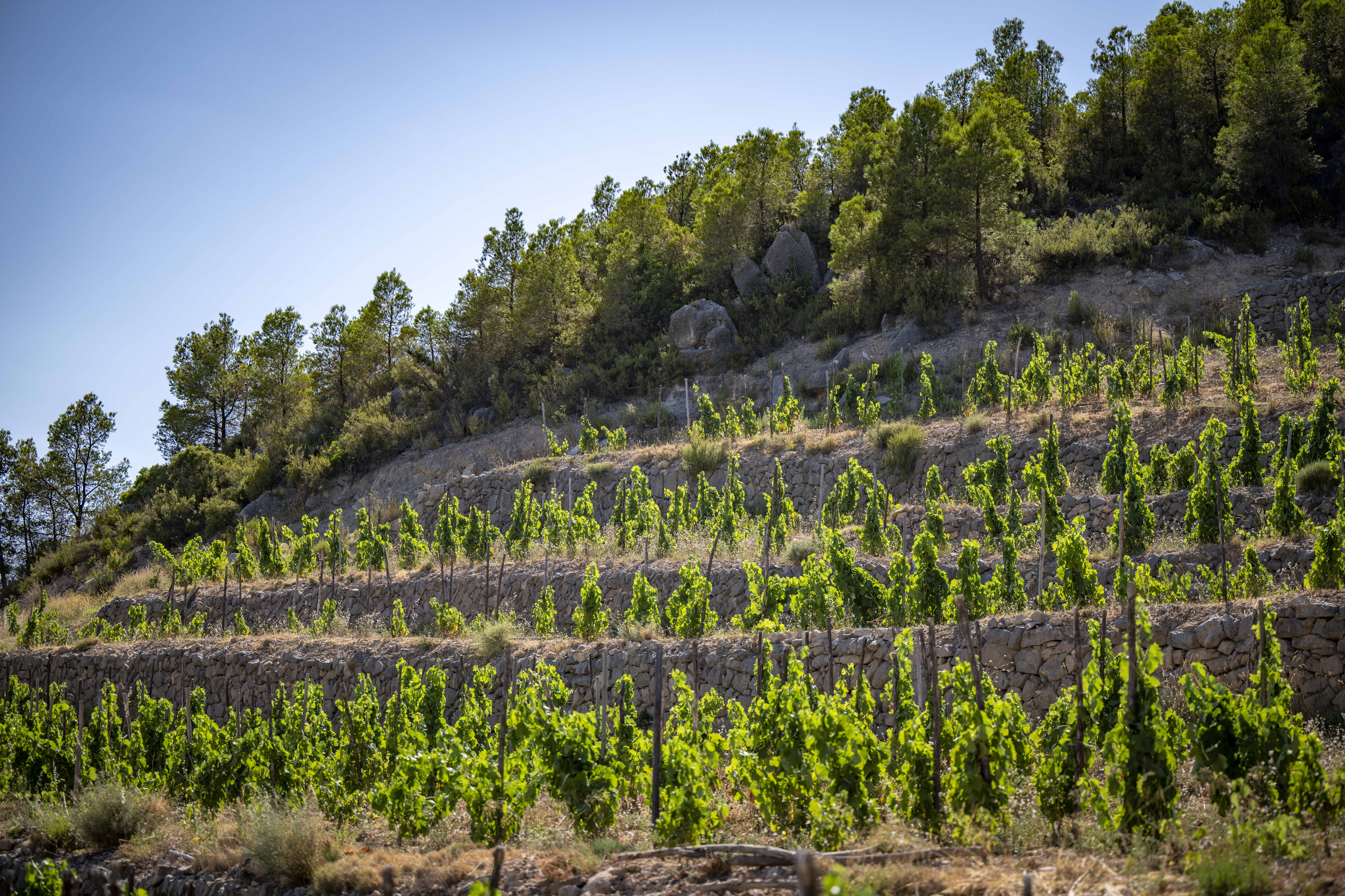 Global Image Projects S.L.U.