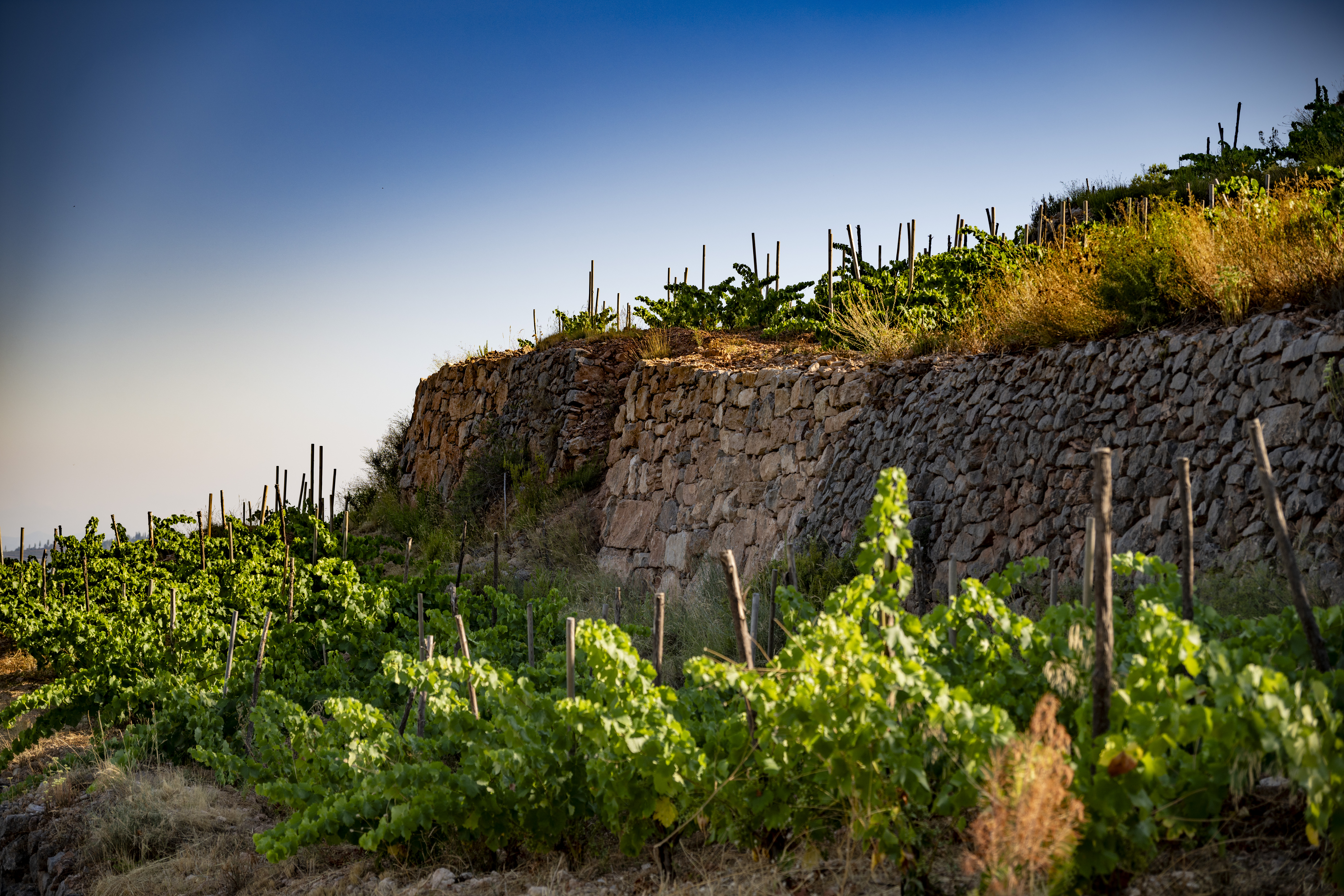 Global Image Projects S.L.U.