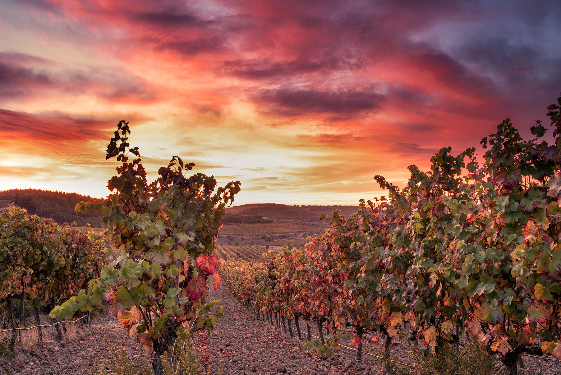 Balcón de Pilatos 1810 Amanecer