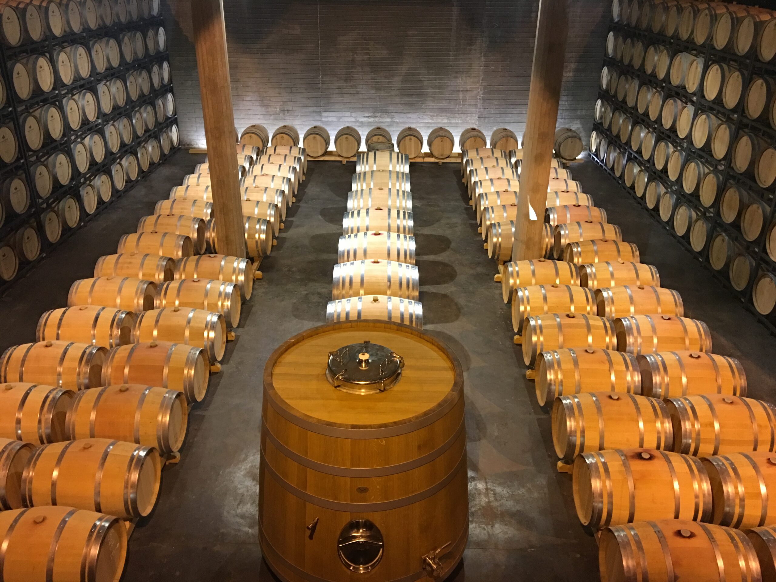 Bodega Tomas Cusine
