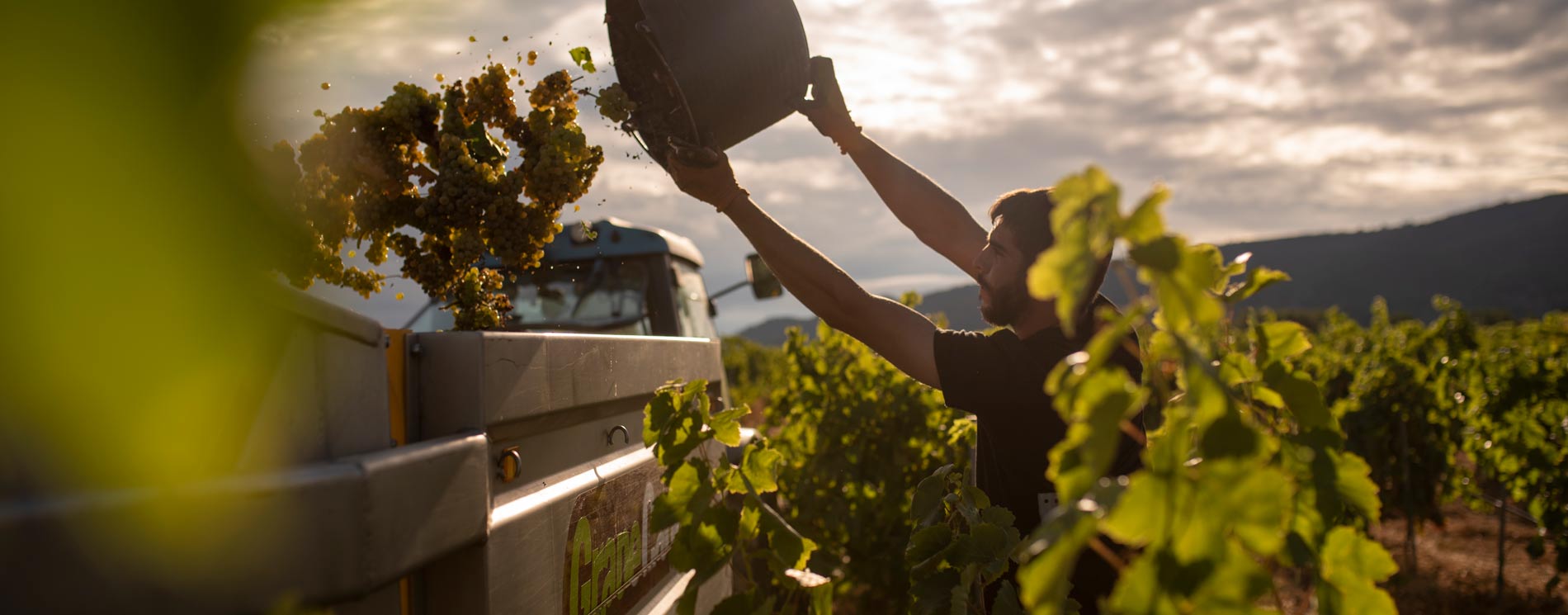 CDS_TomasCusine-Cervoles_drinkinmoderation__013