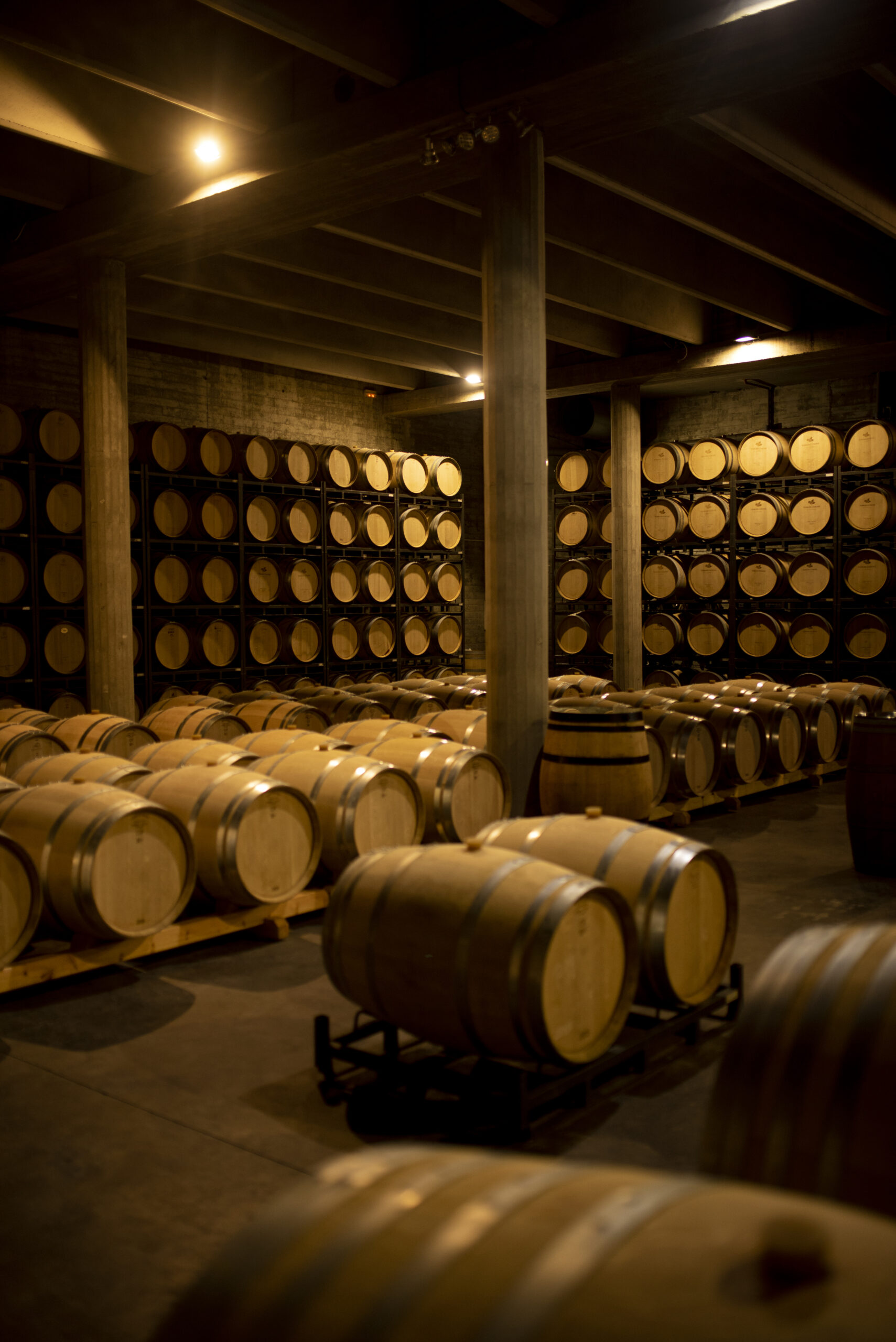 CDS_TomasCusine-Cervoles_drinkinmoderation__058