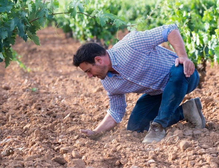 FRANCISCO VIÑA CAMISA CUADROS
