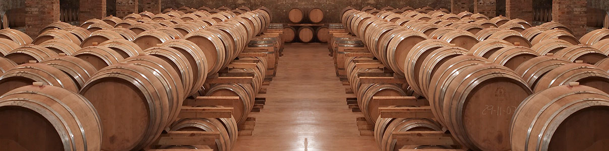 bodega-cervolesceller-header